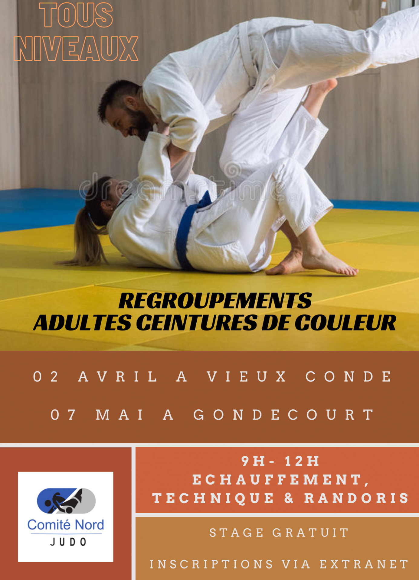 Affiche regroupements ceintures de couleur
