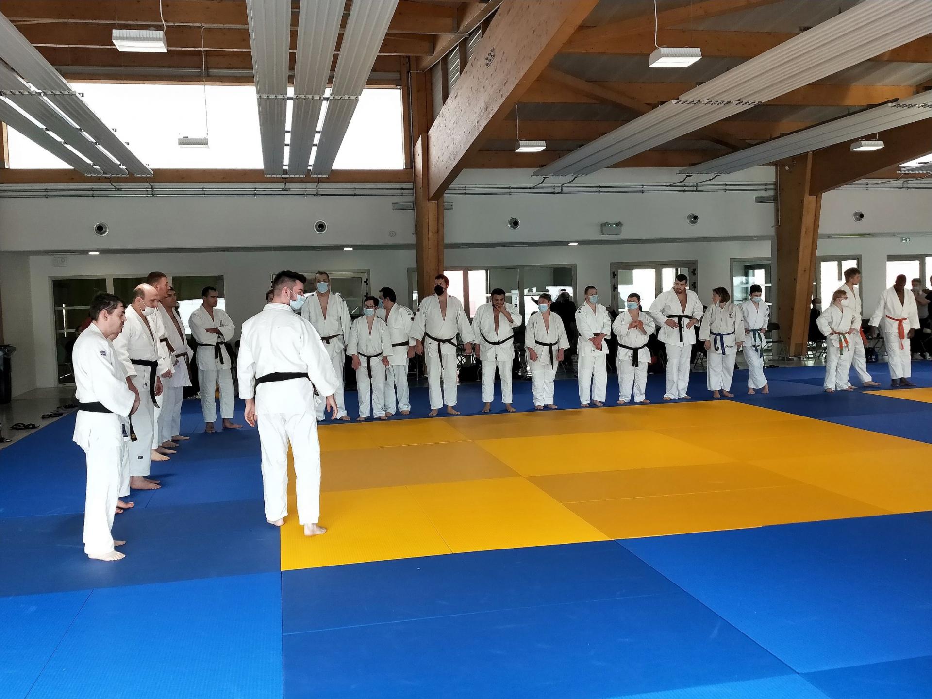 Parajudo site