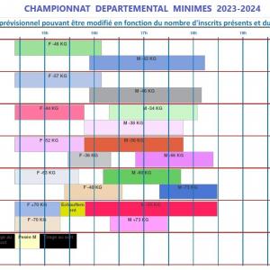 Planning previsionnel minimes 13 janvier 2023